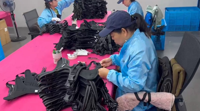 XPJ(中国区)官方宠物，无处不在
