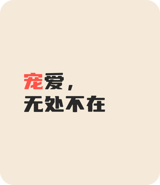 XPJ(中国区)官方宠物，无处不在
