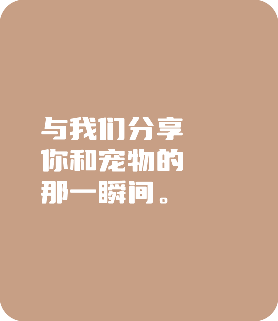 XPJ(中国区)官方宠物，无处不在